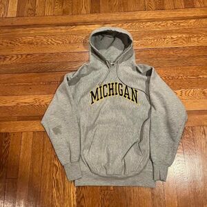 University of‎ Michigan hoodie 
Stain shown